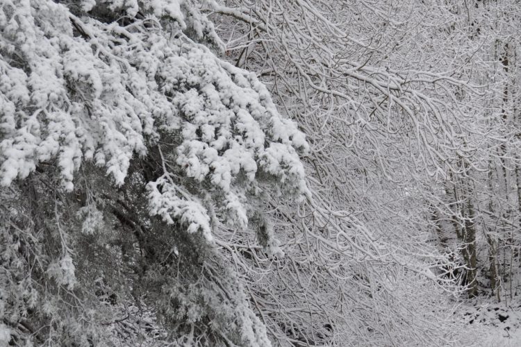 Hiver au balcon