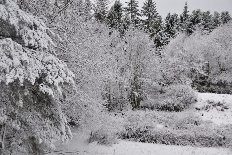 Hiver au Balcon
